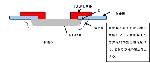 OutlineShape5